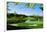 Golf Course, Congressional Country Club, Potomac, Montgomery County, Maryland, USA-null-Framed Photographic Print