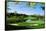 Golf Course, Congressional Country Club, Potomac, Montgomery County, Maryland, USA-null-Framed Stretched Canvas