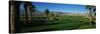 Golf Course, Desert Springs, California, USA-null-Stretched Canvas