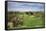 Golf Course Fairway, Scottsdale,Arizona,Usa-BCFC-Framed Stretched Canvas