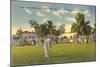 Golf Course, Hollywood, Florida-null-Mounted Art Print