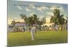 Golf Course, Hollywood, Florida-null-Mounted Art Print