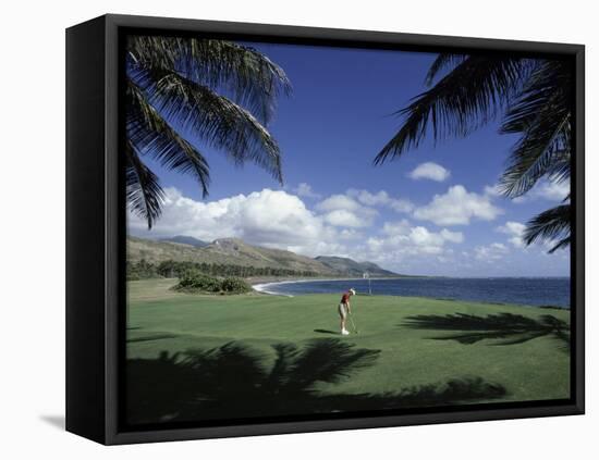 Golf Course in Paradise-null-Framed Stretched Canvas