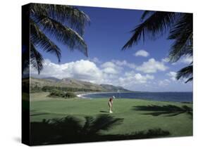 Golf Course in Paradise-null-Stretched Canvas