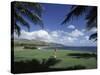 Golf Course in Paradise-null-Stretched Canvas