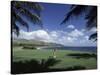 Golf Course in Paradise-null-Stretched Canvas