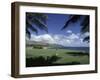 Golf Course in Paradise-null-Framed Premium Photographic Print