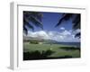 Golf Course in Paradise-null-Framed Photographic Print