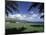 Golf Course in Paradise-null-Mounted Photographic Print