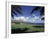 Golf Course in Paradise-null-Framed Photographic Print
