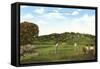 Golf Course, La Jolla, California-null-Framed Stretched Canvas