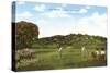 Golf Course, La Jolla, California-null-Stretched Canvas