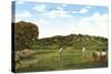 Golf Course, La Jolla, California-null-Stretched Canvas