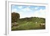 Golf Course, La Jolla, California-null-Framed Art Print