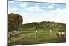 Golf Course, La Jolla, California-null-Mounted Art Print