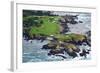 Golf Course on an Island, Pebble Beach Golf Links, Pebble Beach, Monterey County, California, USA-null-Framed Photographic Print