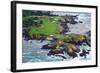 Golf Course on an Island, Pebble Beach Golf Links, Pebble Beach, Monterey County, California, USA-null-Framed Photographic Print