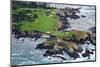 Golf Course on an Island, Pebble Beach Golf Links, Pebble Beach, Monterey County, California, USA-null-Mounted Premium Photographic Print