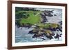 Golf Course on an Island, Pebble Beach Golf Links, Pebble Beach, Monterey County, California, USA-null-Framed Photographic Print