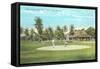 Golf Course, Palm Beach, Florida-null-Framed Stretched Canvas