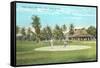 Golf Course, Palm Beach, Florida-null-Framed Stretched Canvas