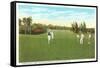 Golf Course, Palm Beach, Florida-null-Framed Stretched Canvas