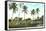 Golf Course, Palm Tees, Palm Beach, Florida-null-Framed Stretched Canvas