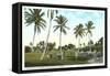 Golf Course, Palm Tees, Palm Beach, Florida-null-Framed Stretched Canvas