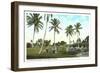 Golf Course, Palm Tees, Palm Beach, Florida-null-Framed Art Print
