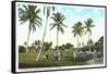 Golf Course, Palm Tees, Palm Beach, Florida-null-Framed Stretched Canvas