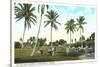 Golf Course, Palm Tees, Palm Beach, Florida-null-Stretched Canvas