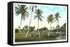 Golf Course, Palm Tees, Palm Beach, Florida-null-Framed Stretched Canvas