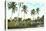 Golf Course, Palm Tees, Palm Beach, Florida-null-Stretched Canvas