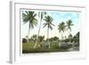 Golf Course, Palm Tees, Palm Beach, Florida-null-Framed Art Print