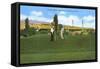 Golf Course, Pocatello, Idaho-null-Framed Stretched Canvas