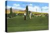 Golf Course, Pocatello, Idaho-null-Stretched Canvas
