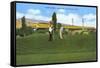 Golf Course, Pocatello, Idaho-null-Framed Stretched Canvas