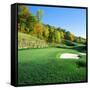 Golf Course, Raven Golf Club, Snowshoe, Pocahontas County, West Virginia, USA-null-Framed Stretched Canvas