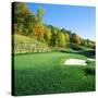 Golf Course, Raven Golf Club, Snowshoe, Pocahontas County, West Virginia, USA-null-Stretched Canvas