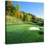 Golf Course, Raven Golf Club, Snowshoe, Pocahontas County, West Virginia, USA-null-Stretched Canvas