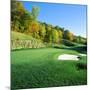 Golf Course, Raven Golf Club, Snowshoe, Pocahontas County, West Virginia, USA-null-Mounted Photographic Print