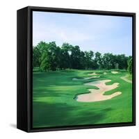 Golf Course, Shadow Hawk Golf Club, Richmond, Fort Bend County, Texas, USA-null-Framed Stretched Canvas