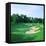 Golf Course, Shadow Hawk Golf Club, Richmond, Fort Bend County, Texas, USA-null-Framed Stretched Canvas