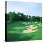 Golf Course, Shadow Hawk Golf Club, Richmond, Fort Bend County, Texas, USA-null-Stretched Canvas