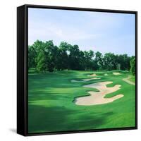 Golf Course, Shadow Hawk Golf Club, Richmond, Fort Bend County, Texas, USA-null-Framed Stretched Canvas
