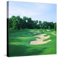 Golf Course, Shadow Hawk Golf Club, Richmond, Fort Bend County, Texas, USA-null-Stretched Canvas