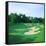 Golf Course, Shadow Hawk Golf Club, Richmond, Fort Bend County, Texas, USA-null-Framed Stretched Canvas