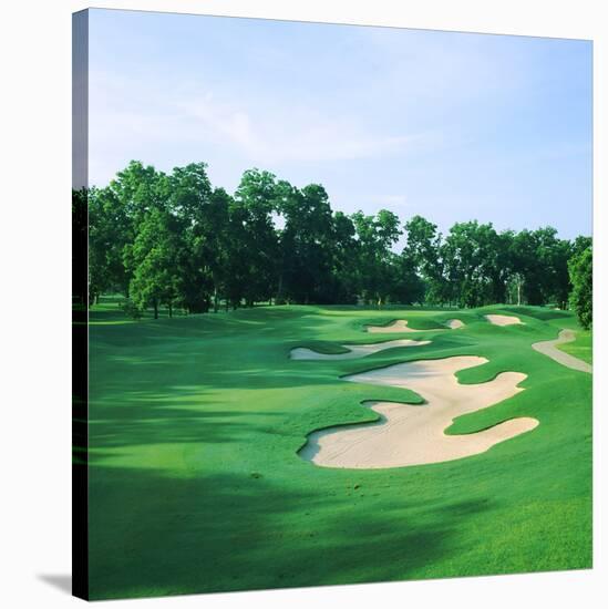 Golf Course, Shadow Hawk Golf Club, Richmond, Fort Bend County, Texas, USA-null-Stretched Canvas