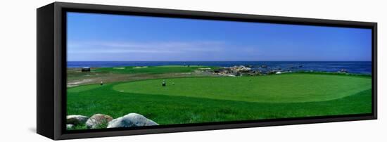 Golf Course Spyglass Hill, CA-null-Framed Stretched Canvas