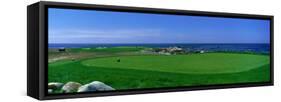 Golf Course Spyglass Hill, CA-null-Framed Stretched Canvas